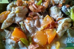BOTHOK ATI LEMAK AYAM SRAGEN KETO ALA SUCI WULANDARI