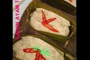 GADON AYAM TAHU ALA YUFITA IBRAHIM