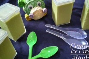 ICE CREAM ALPUKAT KEJU ALA SUCI WULANDARI