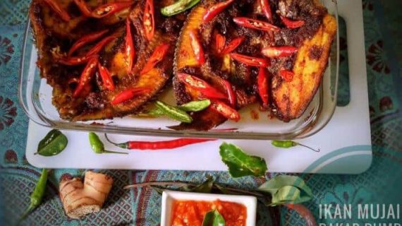 IKAN MUJAIR BAKAR BUMBU RUJAK TANPA SANTAN ALA SUCI WULANDARI