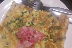MARTABAK ACEH ALA INAYAH MILA FITHRIANA