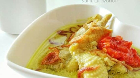 OPOR AYAM SAMBAL SEUHAH ALA TEH NITA