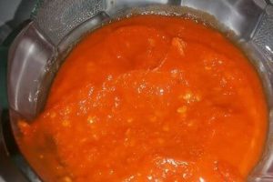 SAOS SAMBAL ALA SHINTA NURASIH