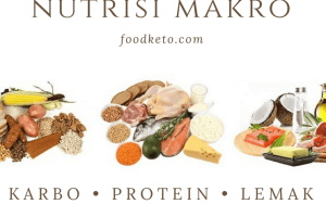 Apa Yang Harus Anda Ketahui Tentang Lemak, Protein dan Karbo