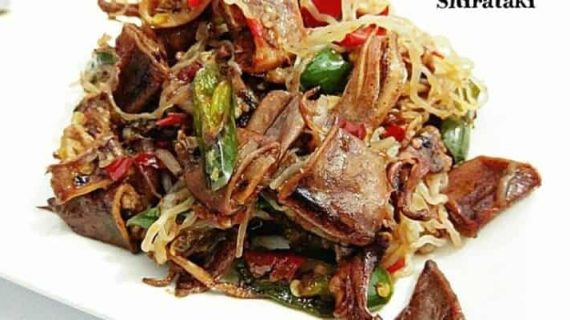 JUHI SHIRATAKI ALA NITA