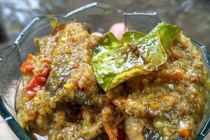 OBLOG ATI AMPELA AYAM ALA SUCI WULANDARI