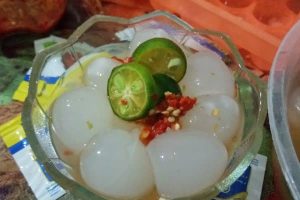 NUTRIJEL DOGAN ALA VIRDA NADRASARI