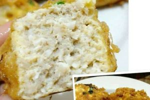 TAHU TUNA SHIRATAKI ALA NELLA KRISHNA RUSDI