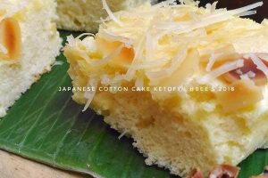 JAPANESE COTTON CAKE KETO ala Alisa Lia‎