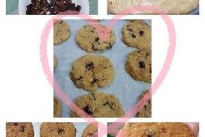 Cookies Coklat Ala Asline Sanny