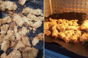 Ayam Krispi Ala Nia Renowaty